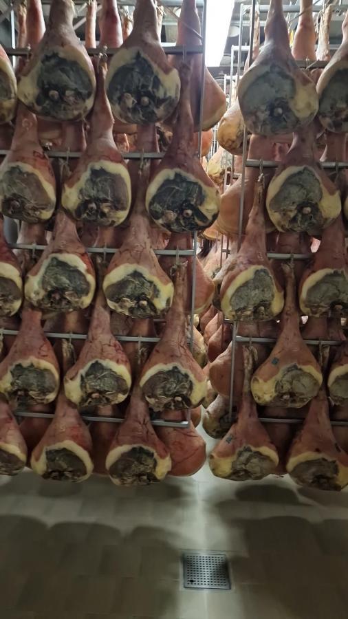 Ai Sapori Hotel San Daniele del Friuli